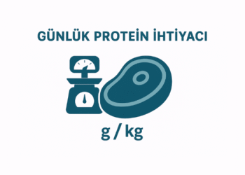 Günlük Protein İhtiyacı Hesaplama