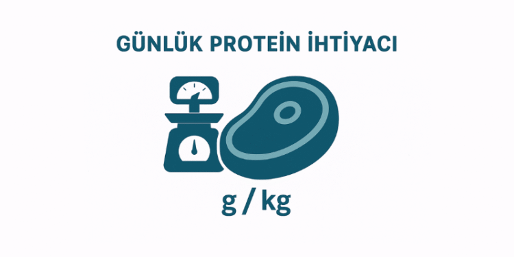 Günlük Protein İhtiyacı Hesaplama