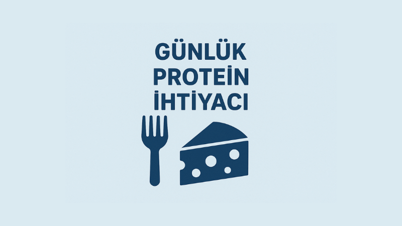 Günlük Protein İhtiyacı Hesaplama