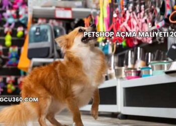 Petshop Açma Maliyeti 2025