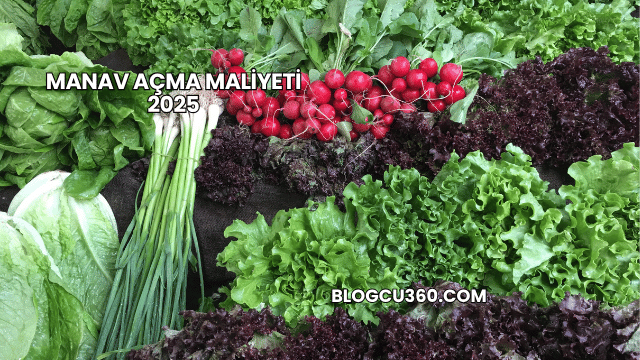 Manav Açma Maliyeti 2025