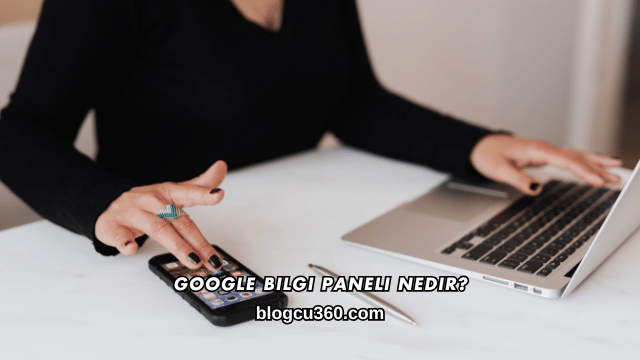Google Bilgi Paneli Nedir?